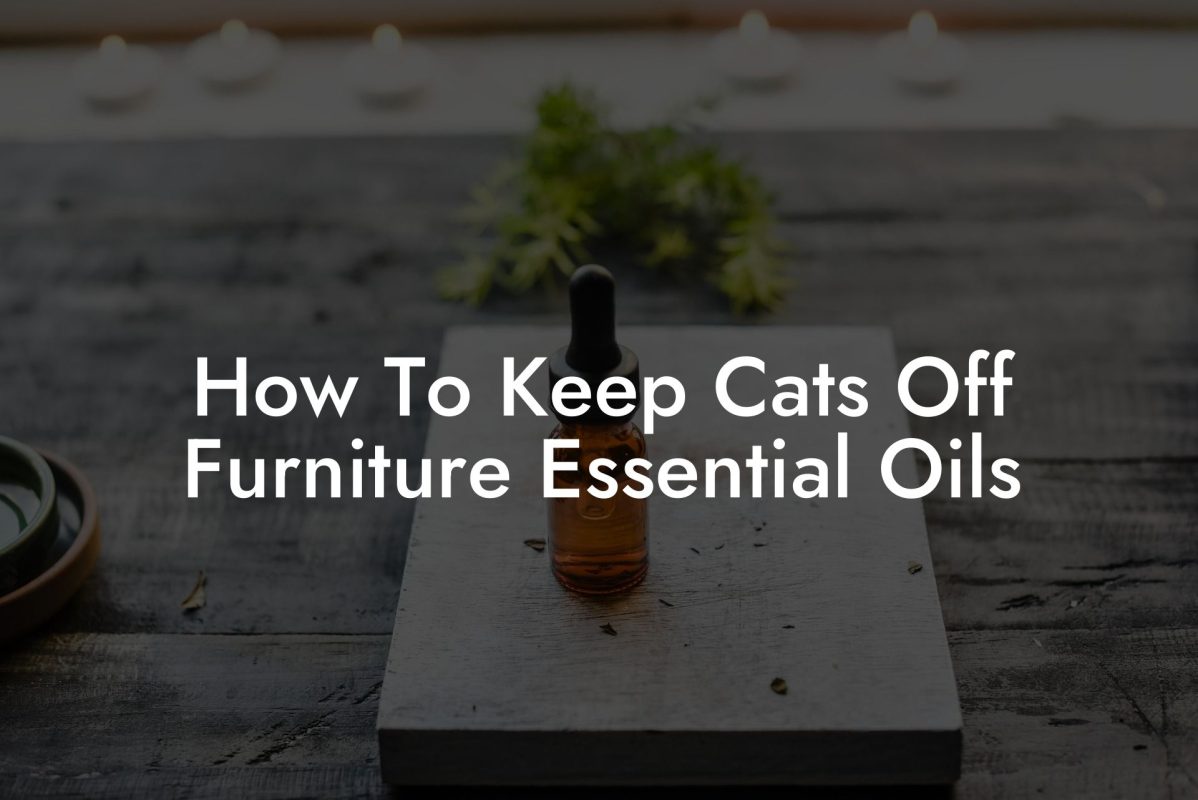 How To Keep Cats Off Furniture Essential Oils