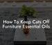 How To Keep Cats Off Furniture Essential Oils