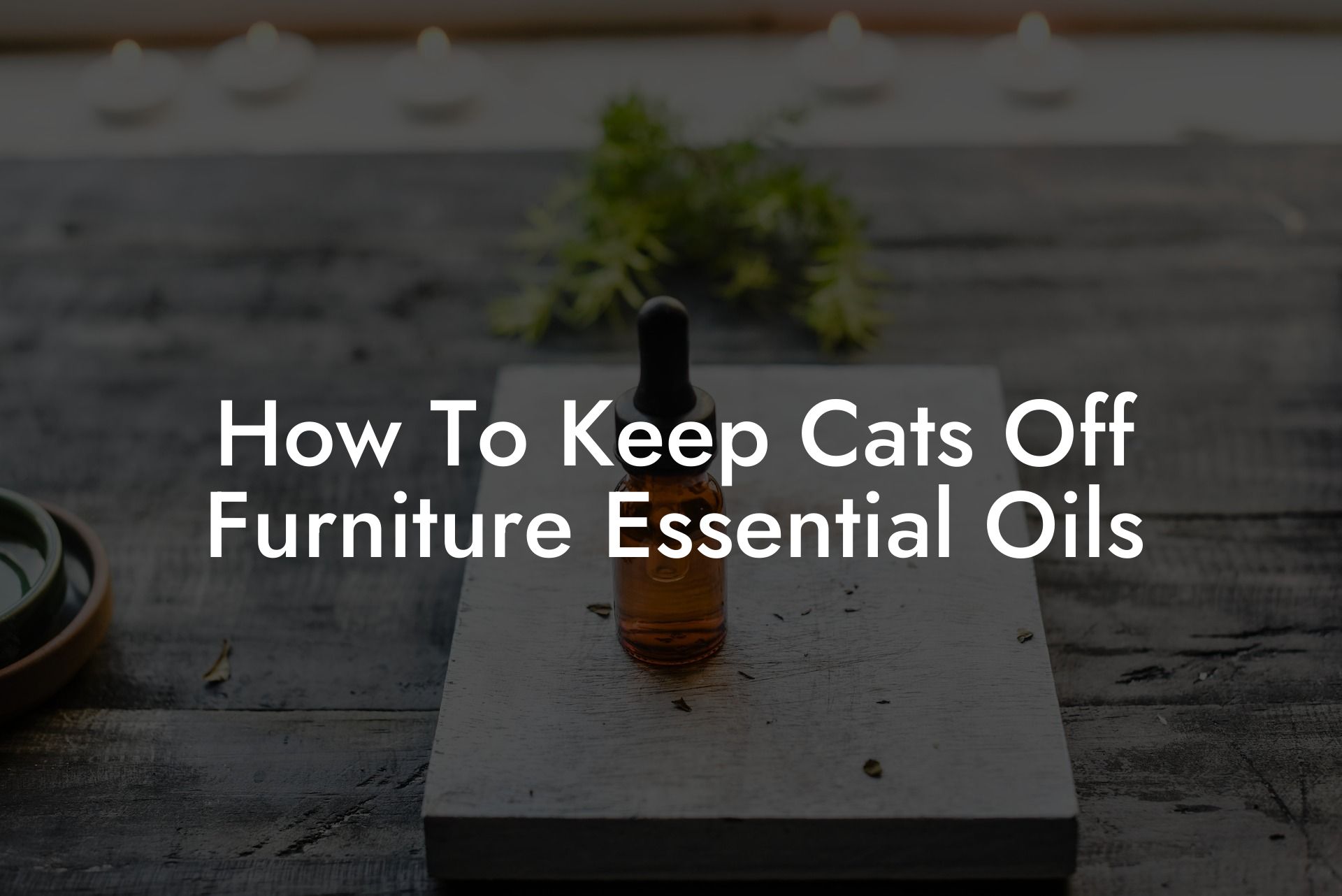 How To Keep Cats Off Furniture Essential Oils
