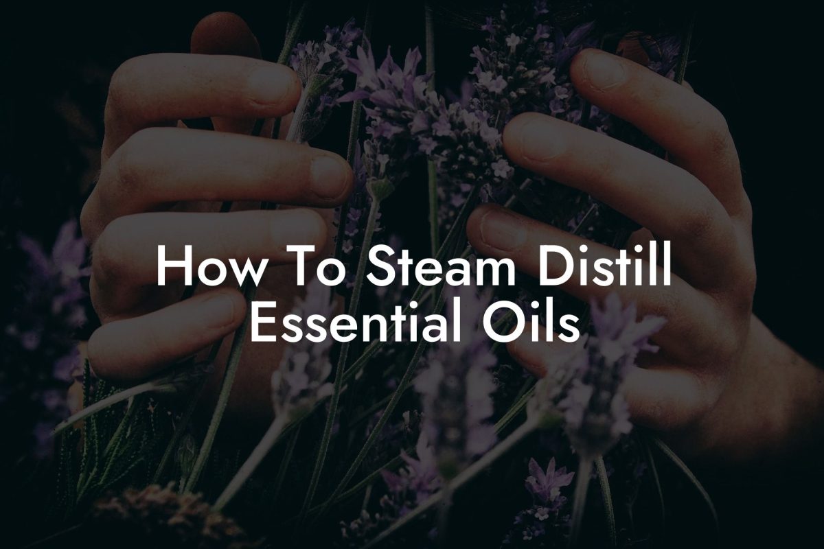 How To Steam Distill Essential Oils