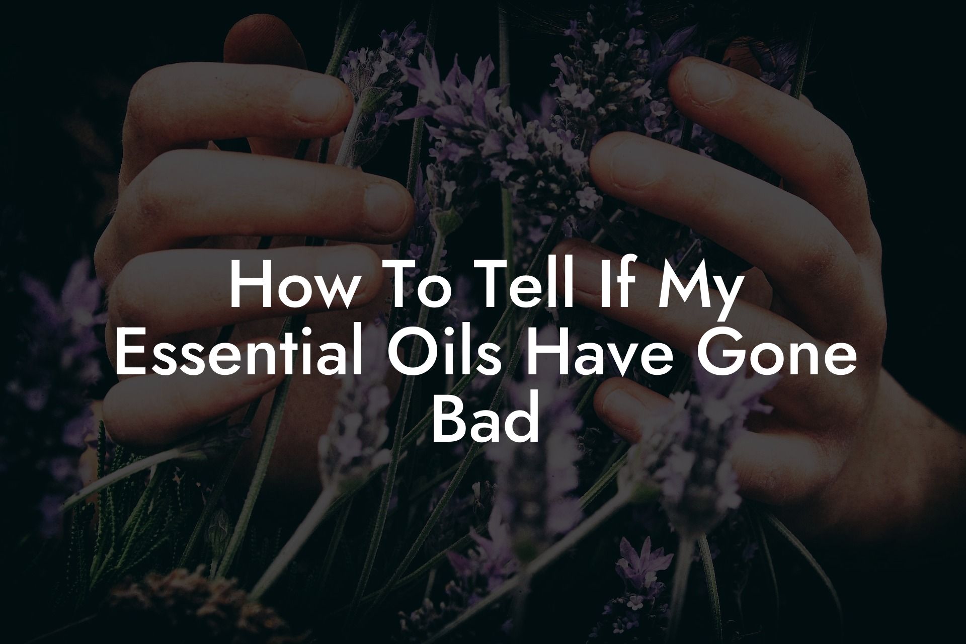How To Tell If My Essential Oils Have Gone Bad
