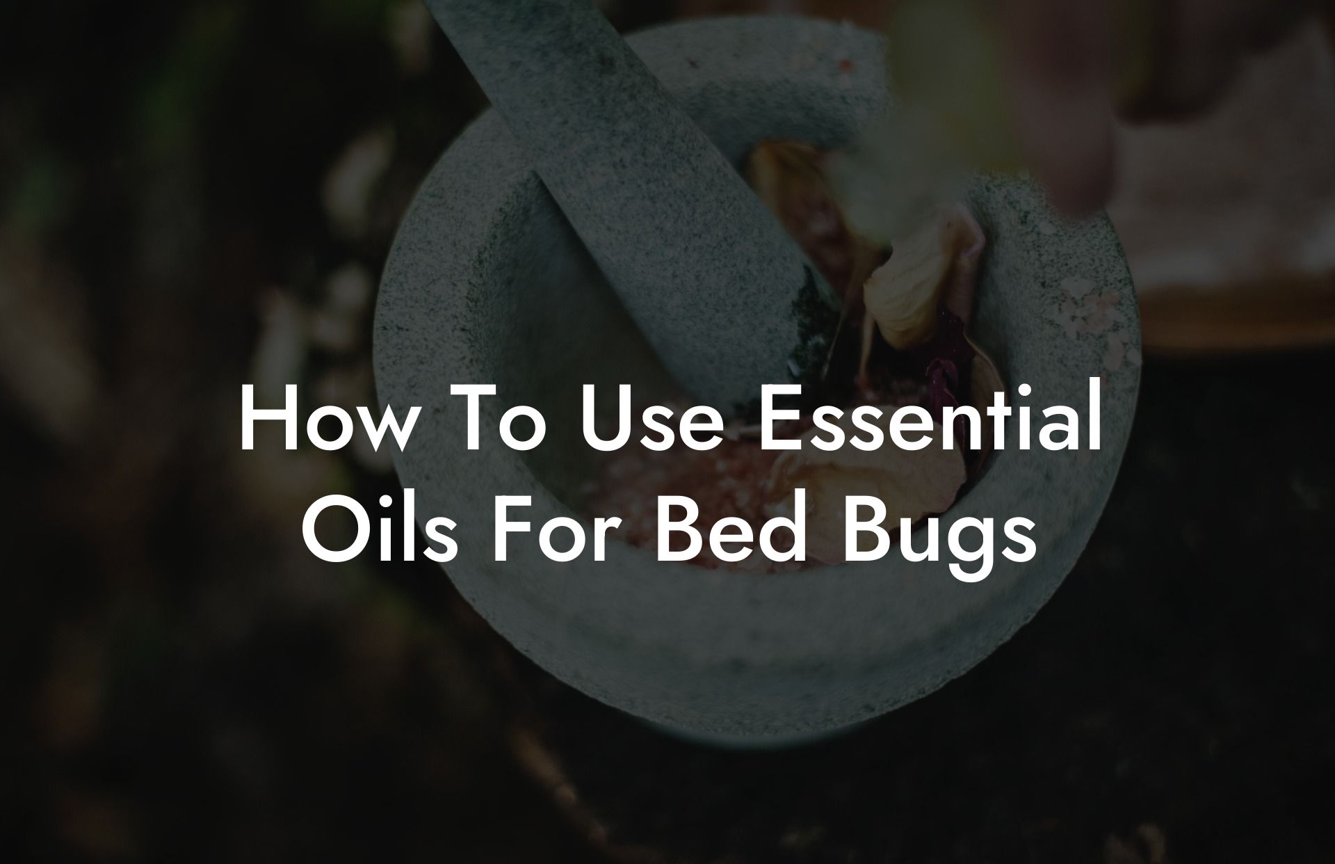 How To Use Essential Oils For Bed Bugs