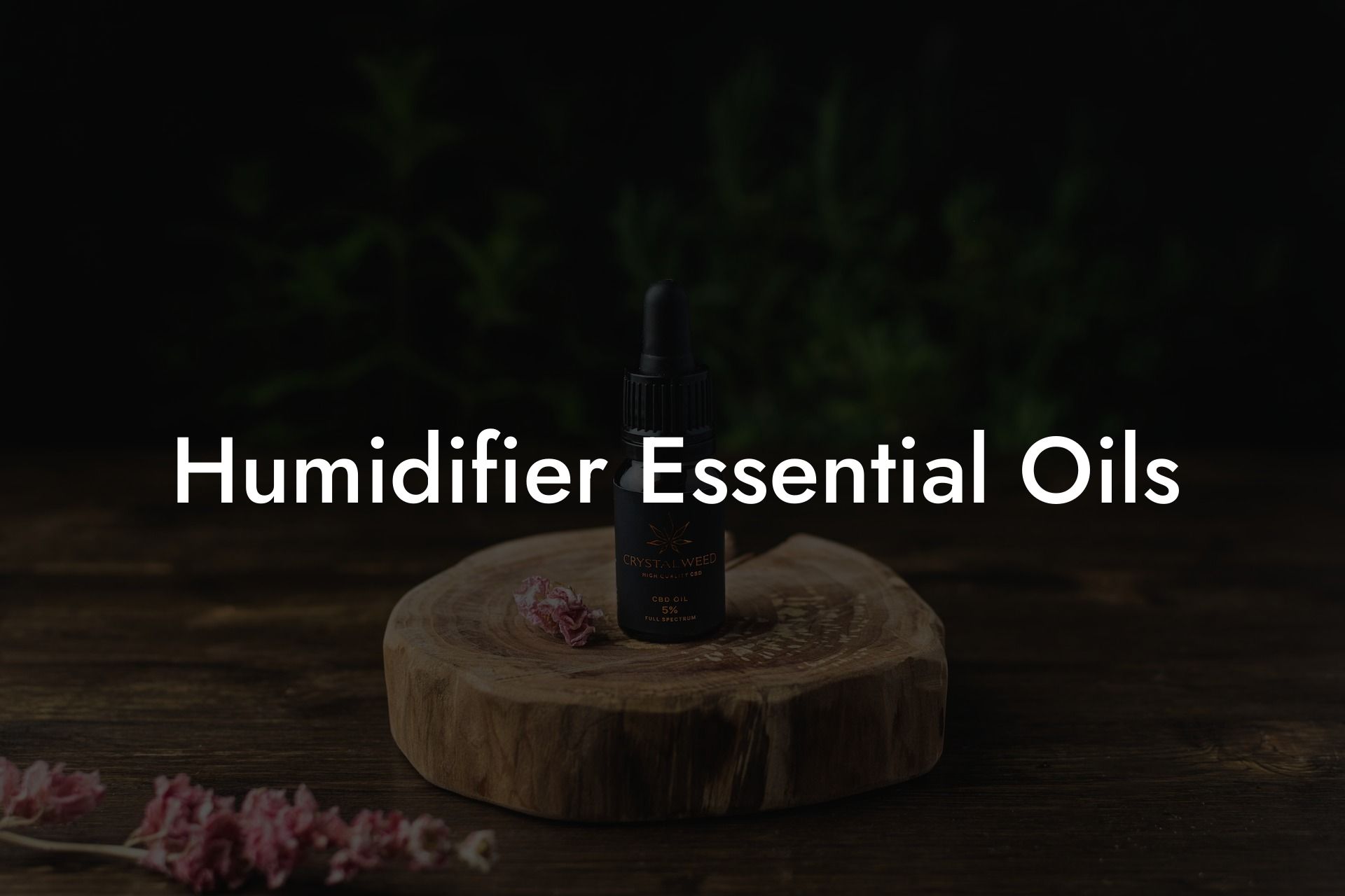 Humidifier Essential Oils