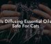 Is Diffusing Essential Oils Safe For Cats
