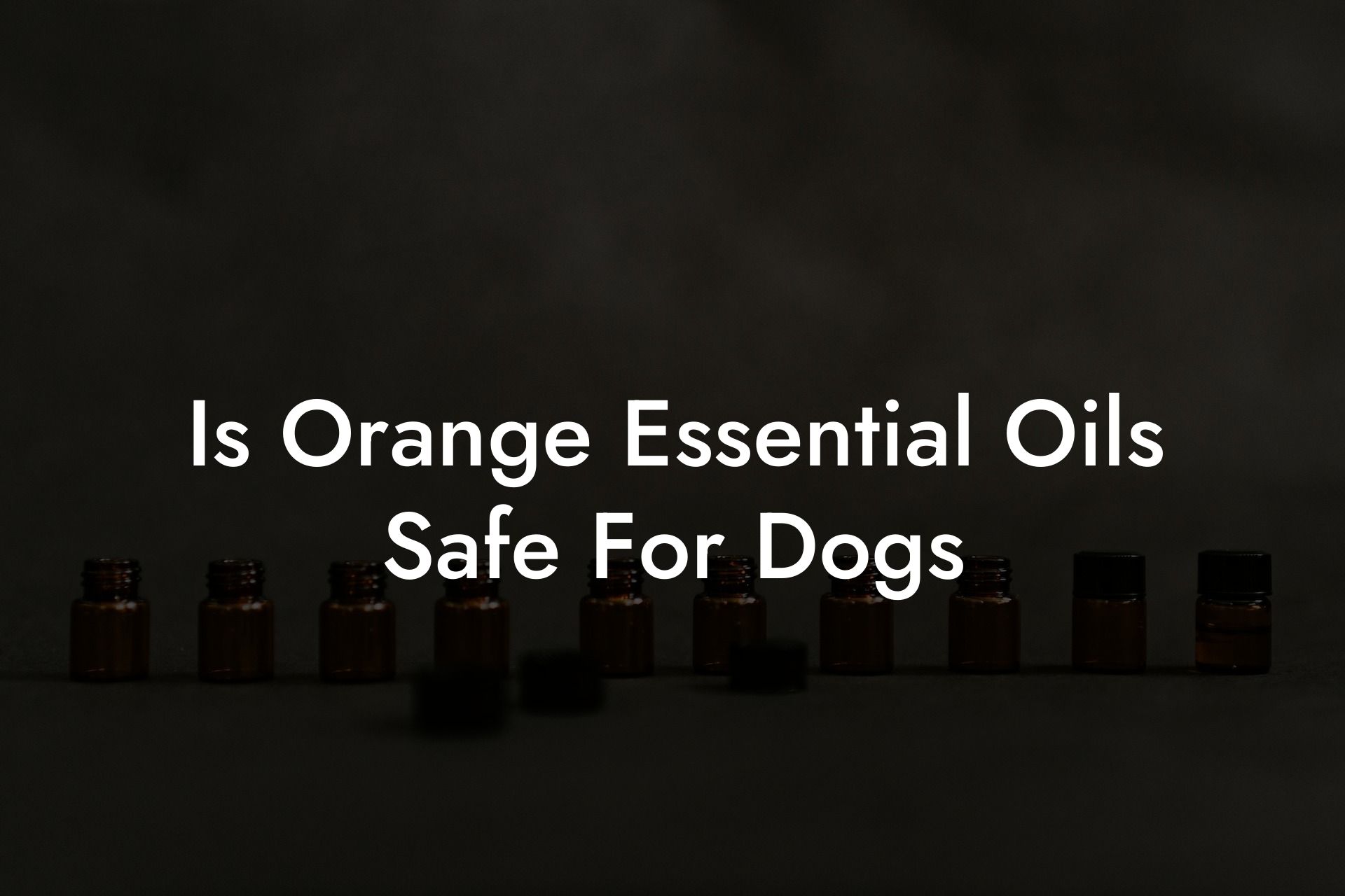 Is Orange Essential Oils Safe For Dogs