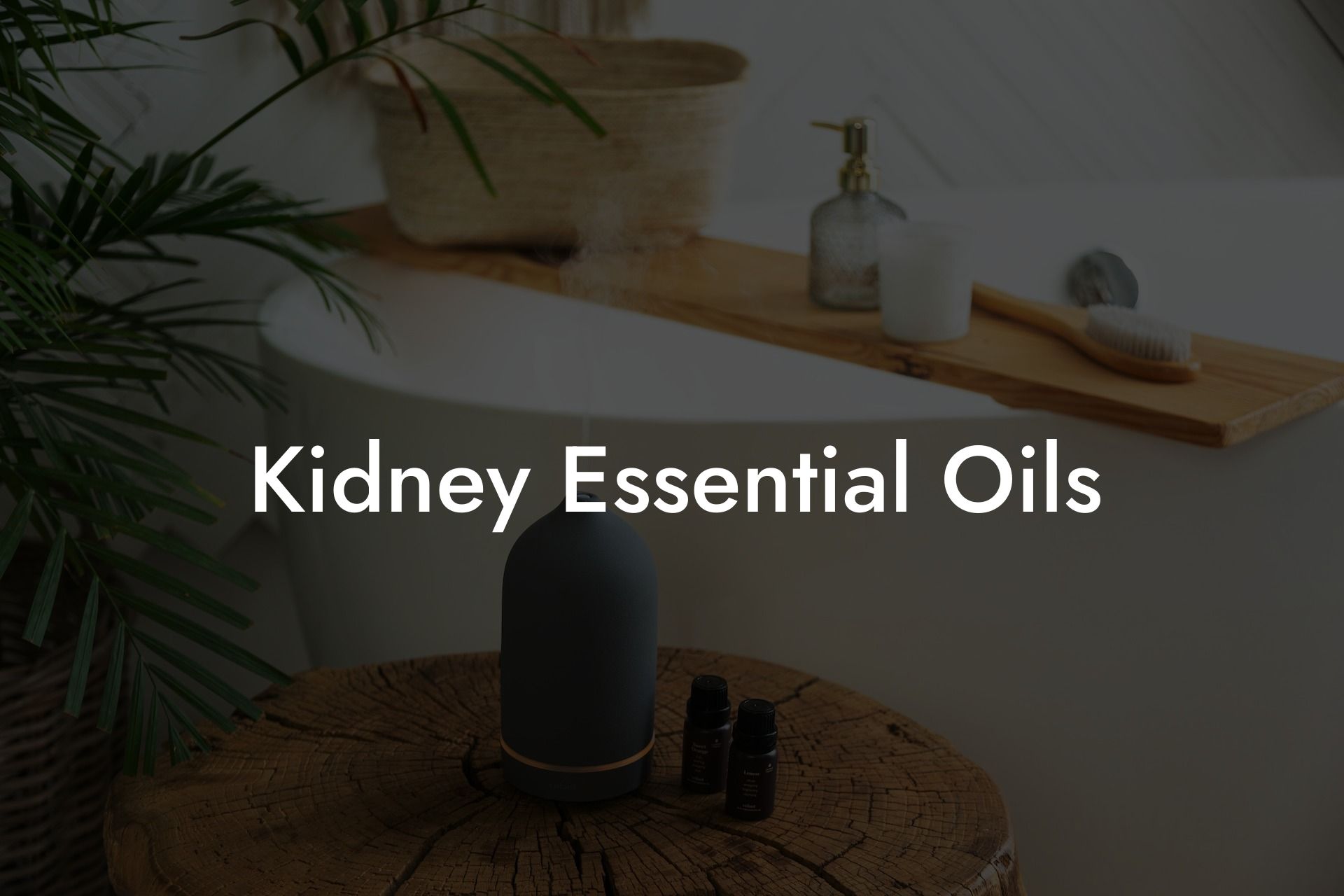 Kidney Essential Oils