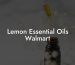 Lemon Essential Oils Walmart