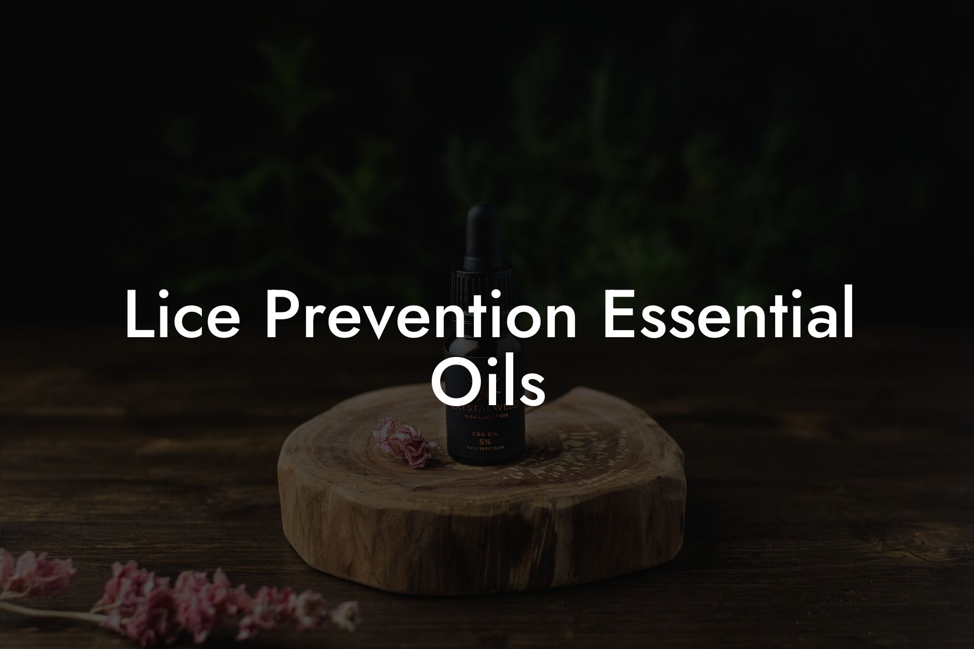 Lice Prevention Essential Oils