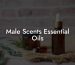 Male Scents Essential Oils