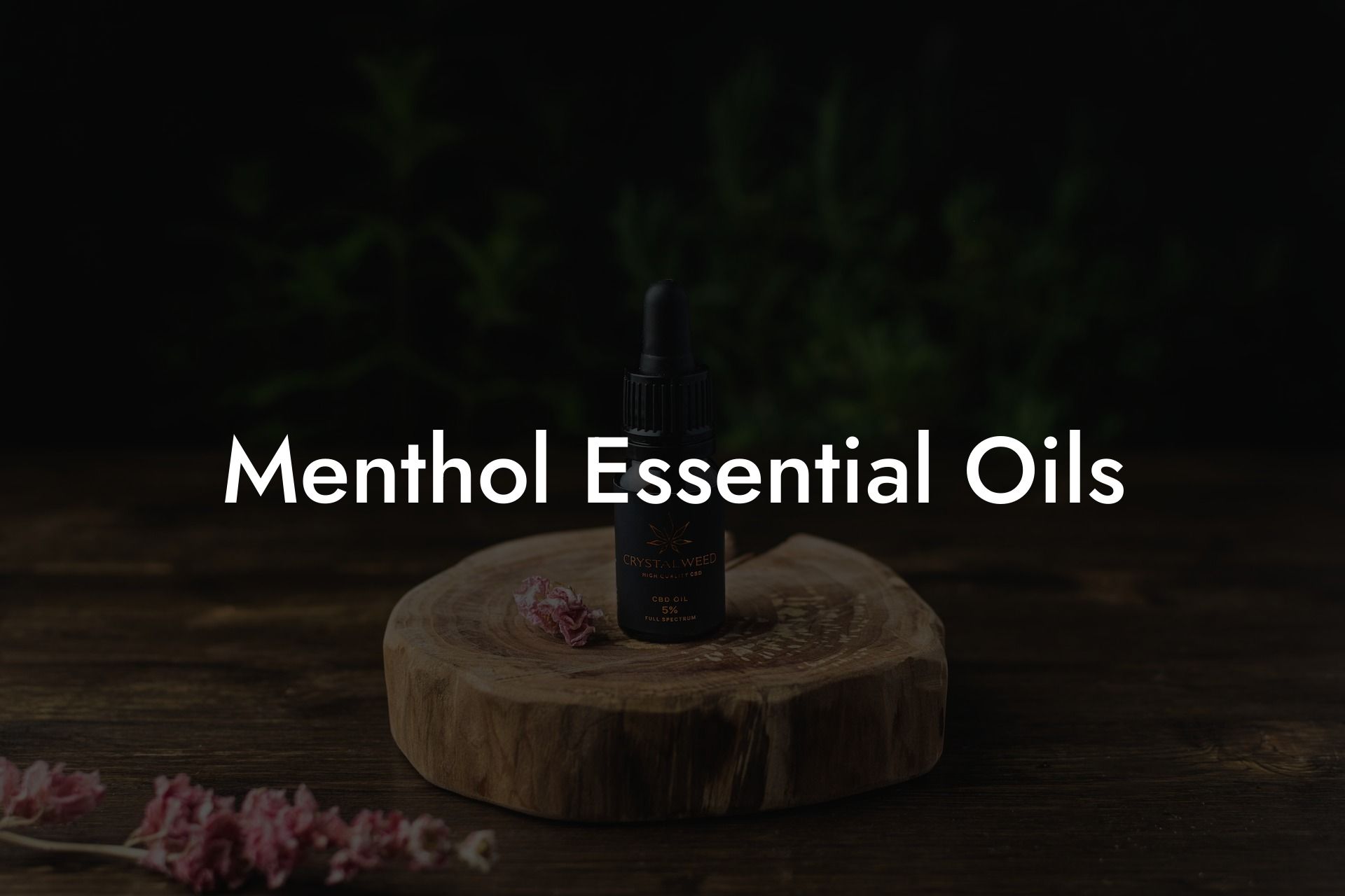 Menthol Essential Oils