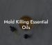 Mold Killing Essential Oils