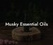 Musky Essential Oils