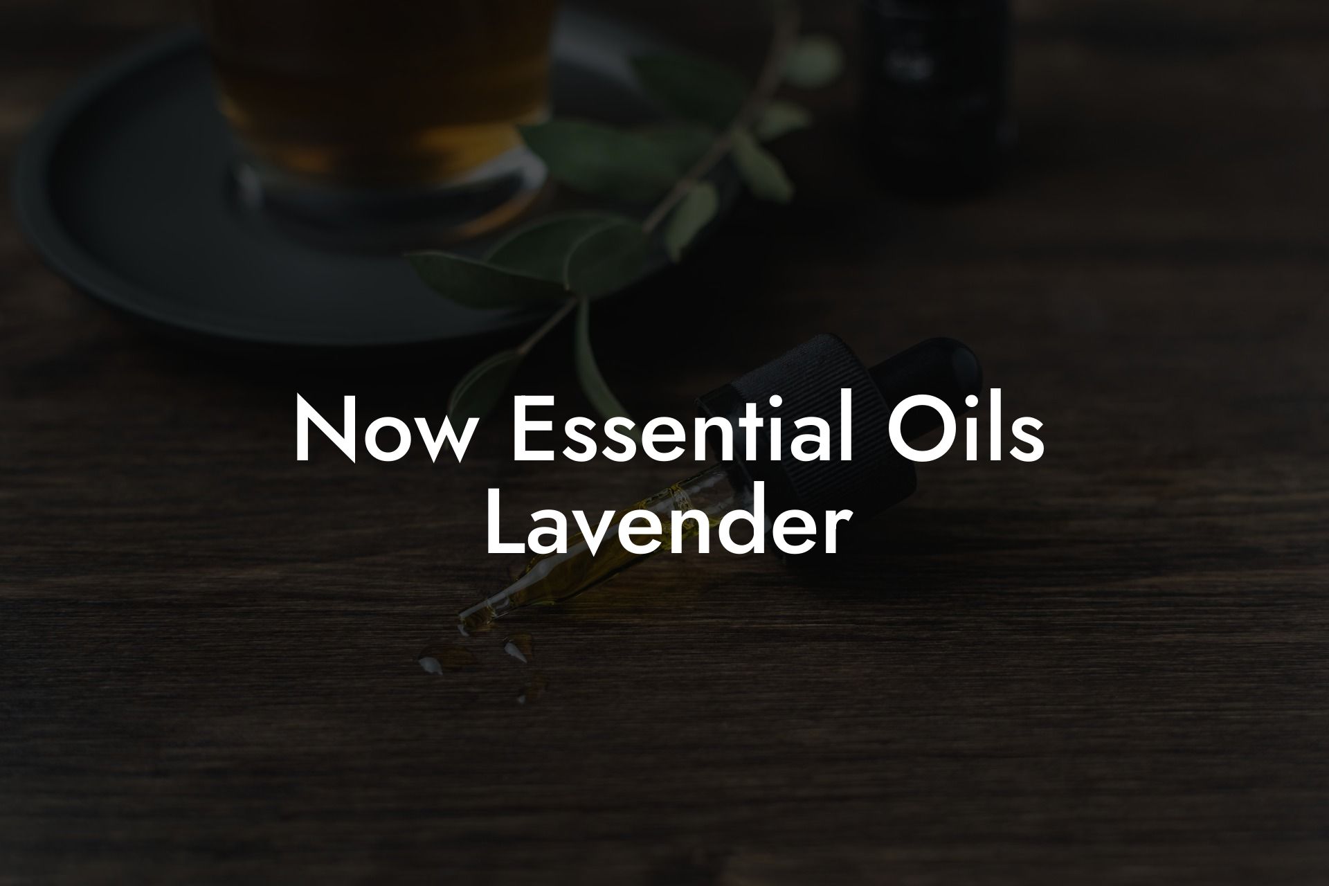 Now Essential Oils Lavender