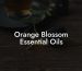Orange Blossom Essential Oils