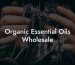 Organic Essential Oils Wholesale