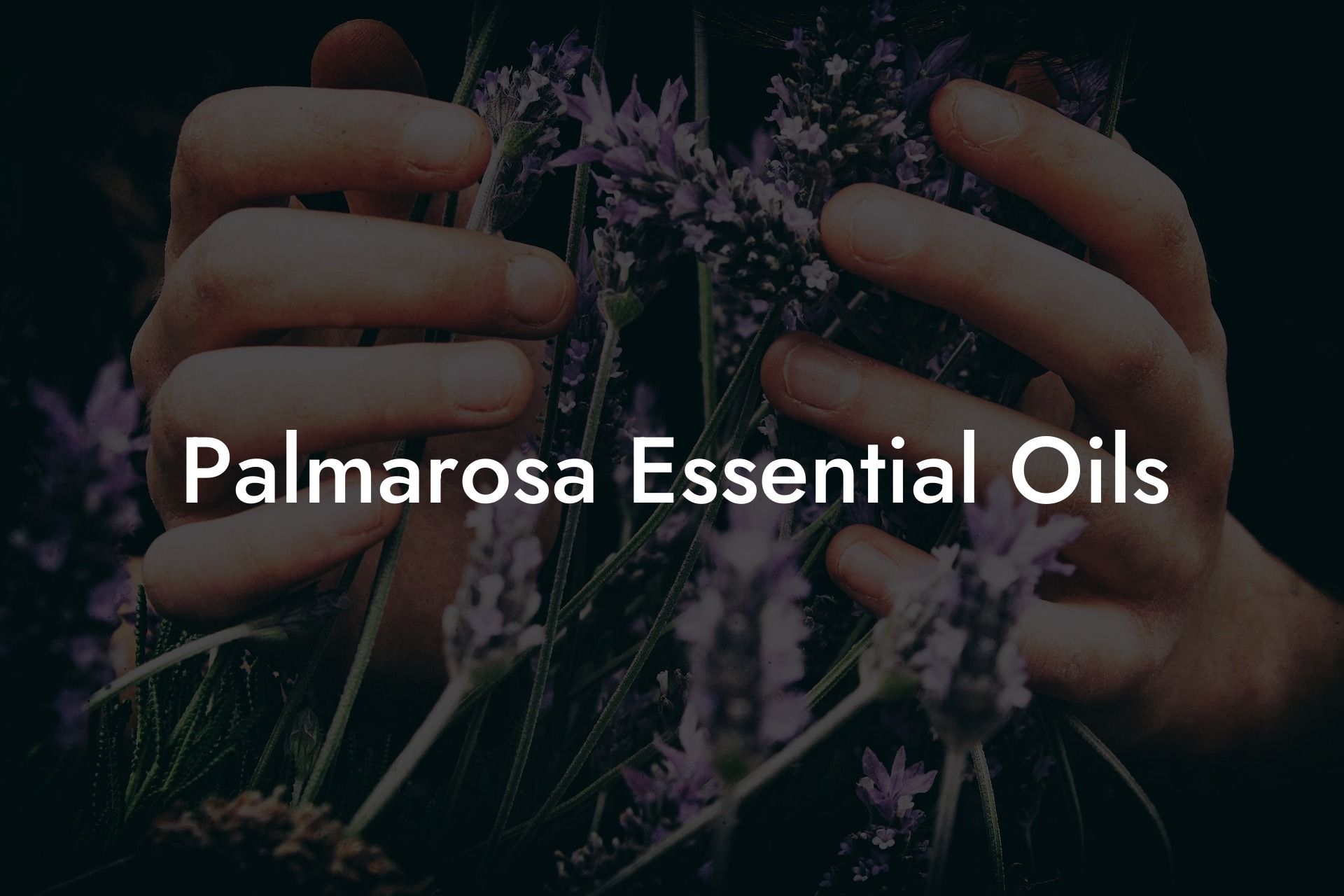 Palmarosa Essential Oils