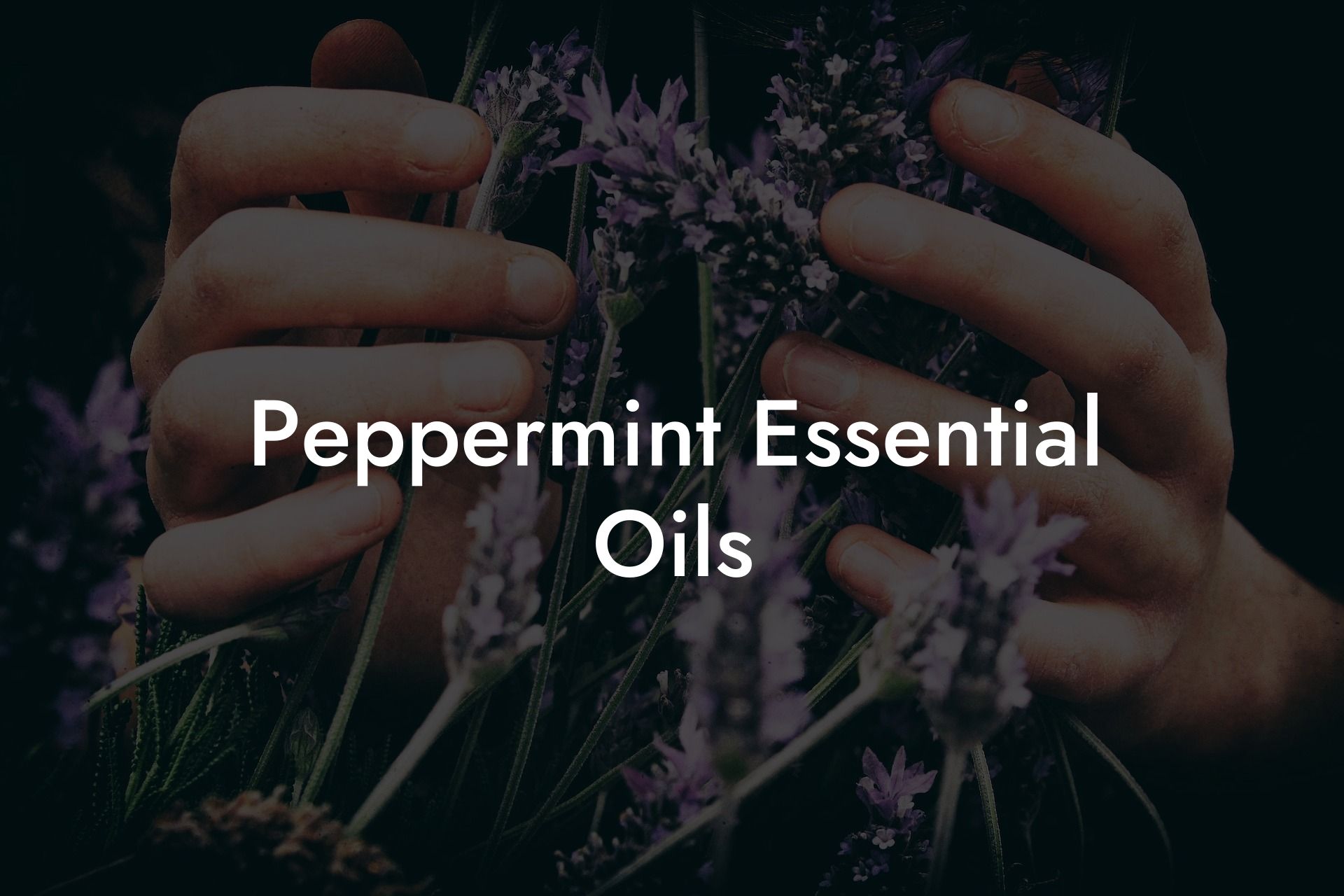 Peppermint Essential Oils