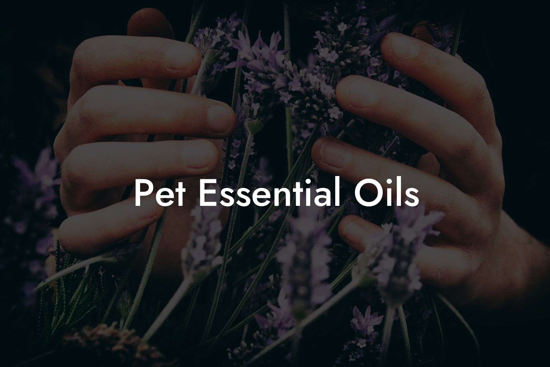 Pet Essential Oils