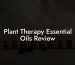 Plant Therapy Essential Oils Review