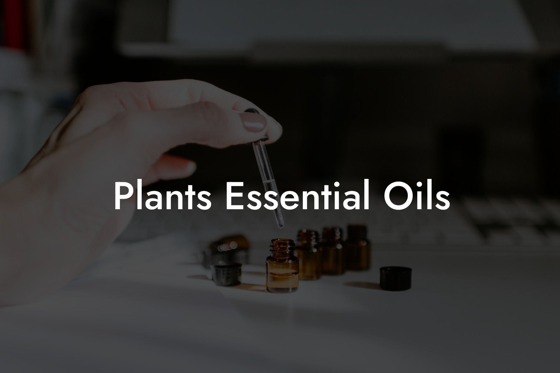 Plants Essential Oils