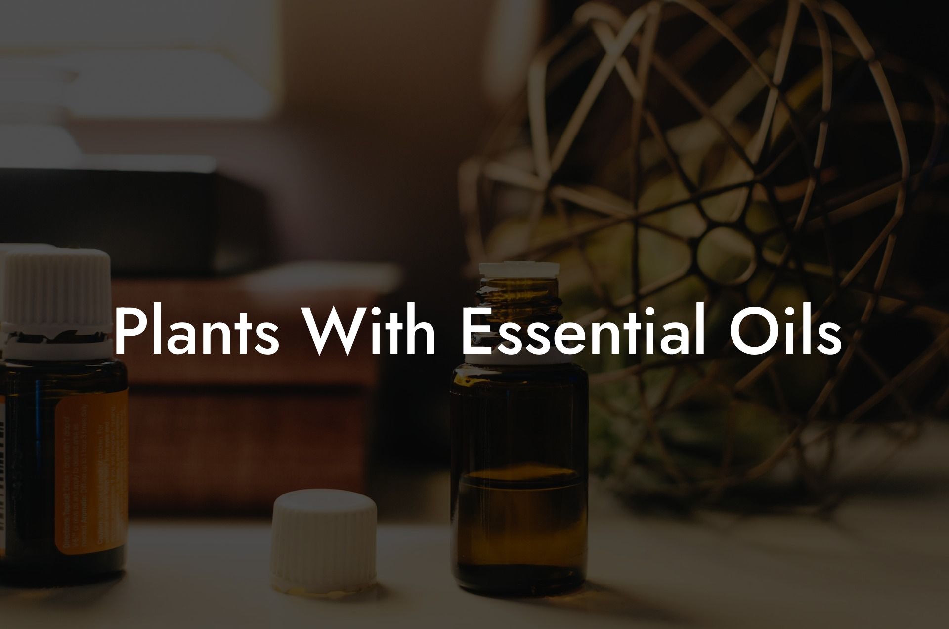 Plants With Essential Oils