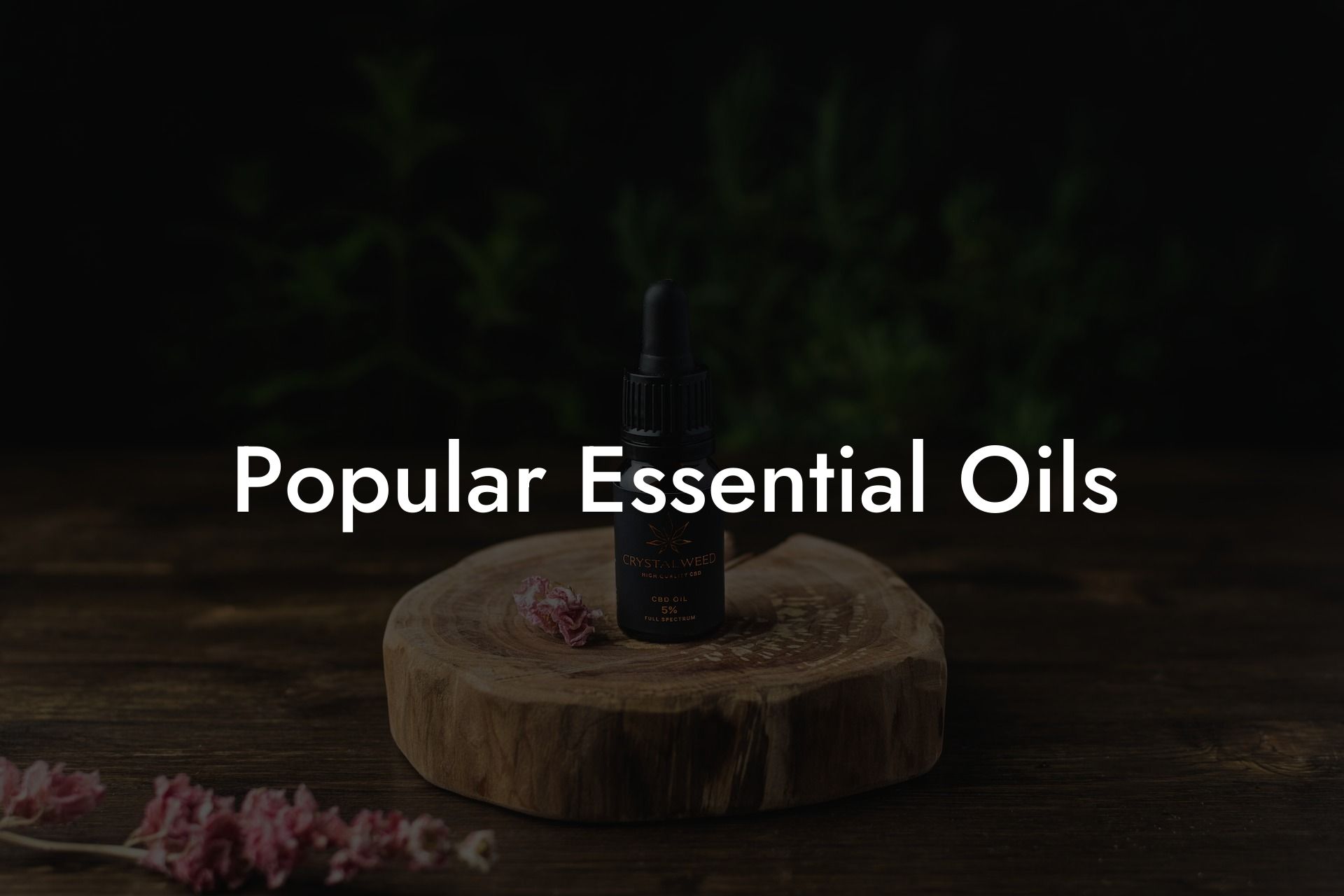 Popular Essential Oils