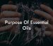 Purpose Of Essential Oils