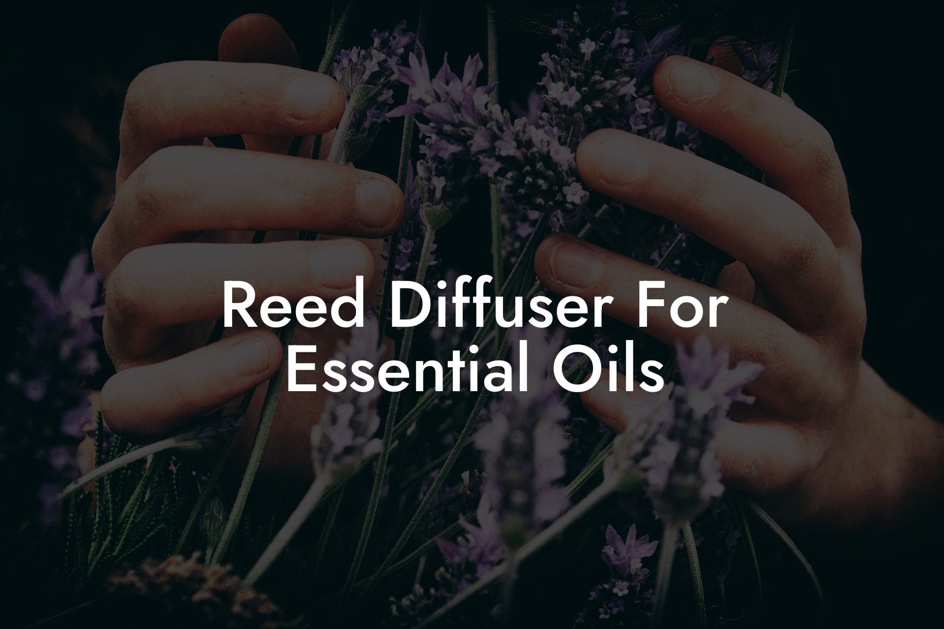 Reed Diffuser For Essential Oils