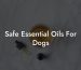 Safe Essential Oils For Dogs