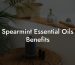 Spearmint Essential Oils Benefits