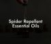 Spider Repellent Essential Oils