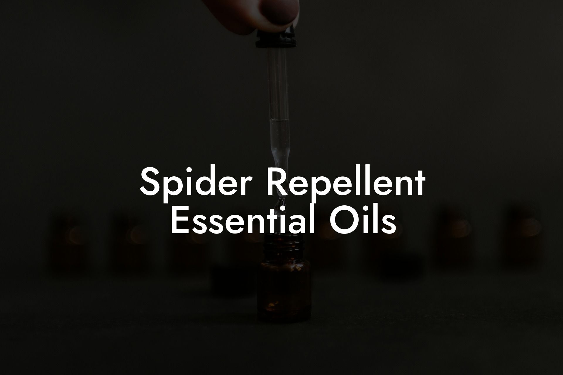 Spider Repellent Essential Oils