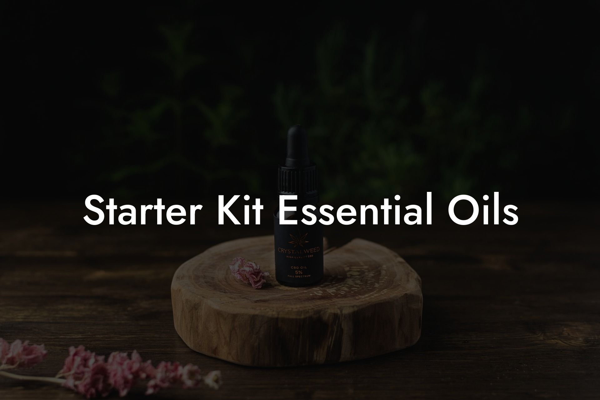 Starter Kit Essential Oils