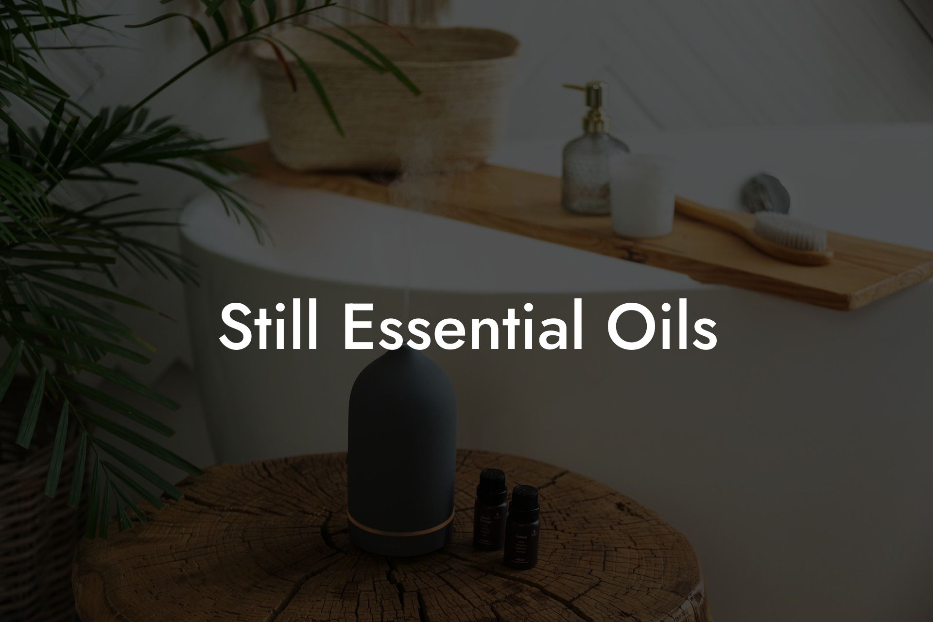 Still Essential Oils