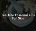 Tea Tree Essential Oils For Skin