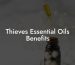 Thieves Essential Oils Benefits