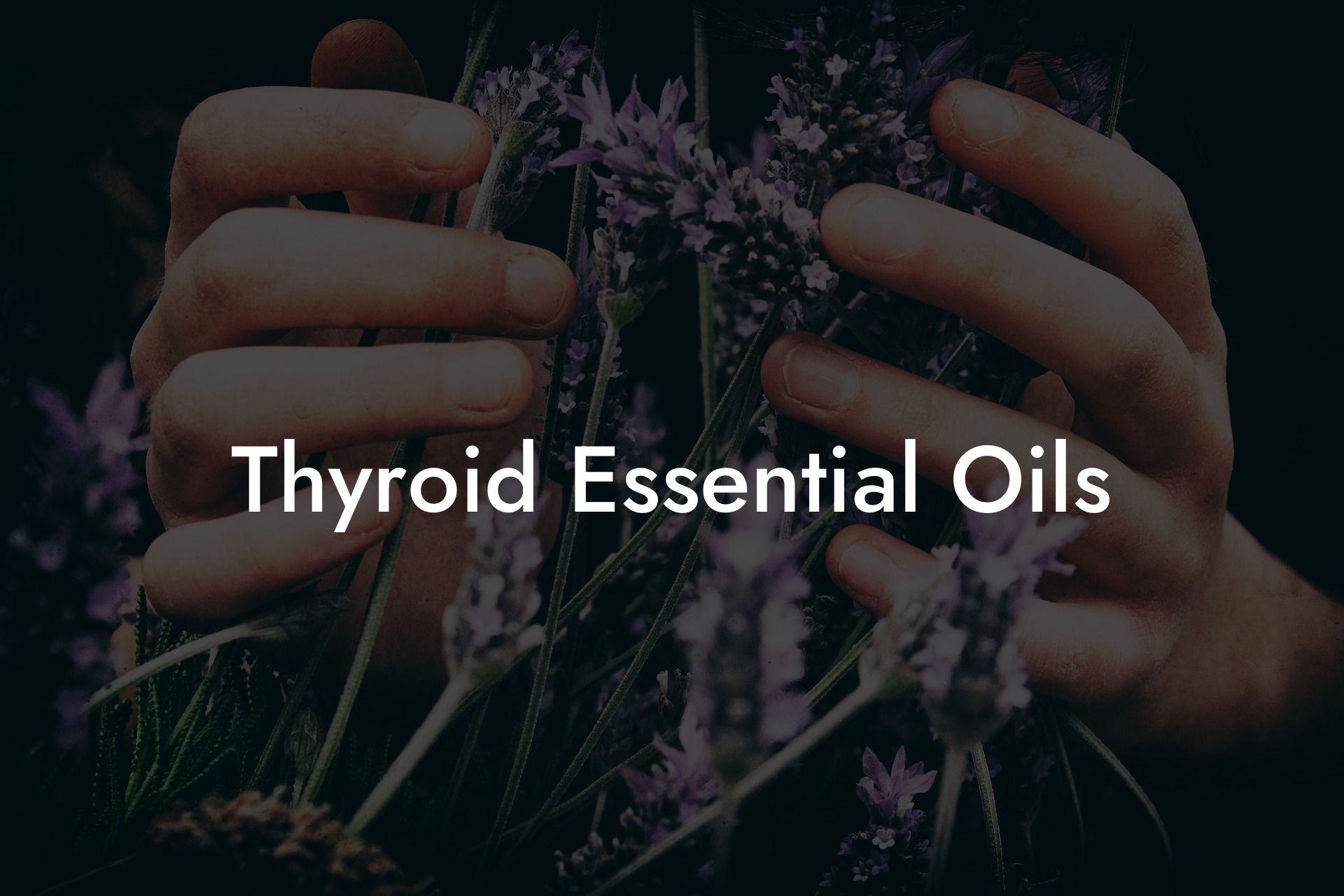 Thyroid Essential Oils
