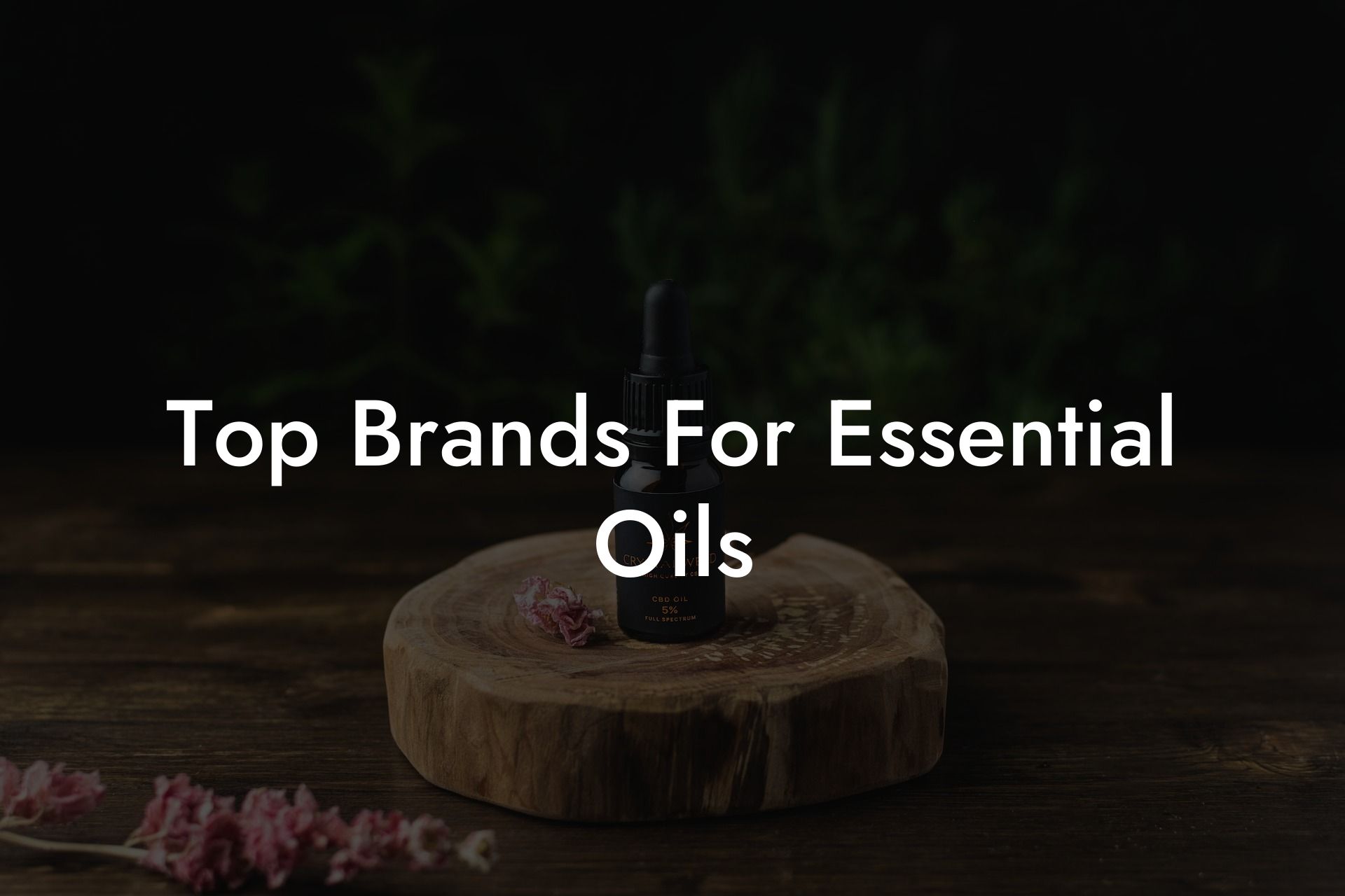 Top Brands For Essential Oils