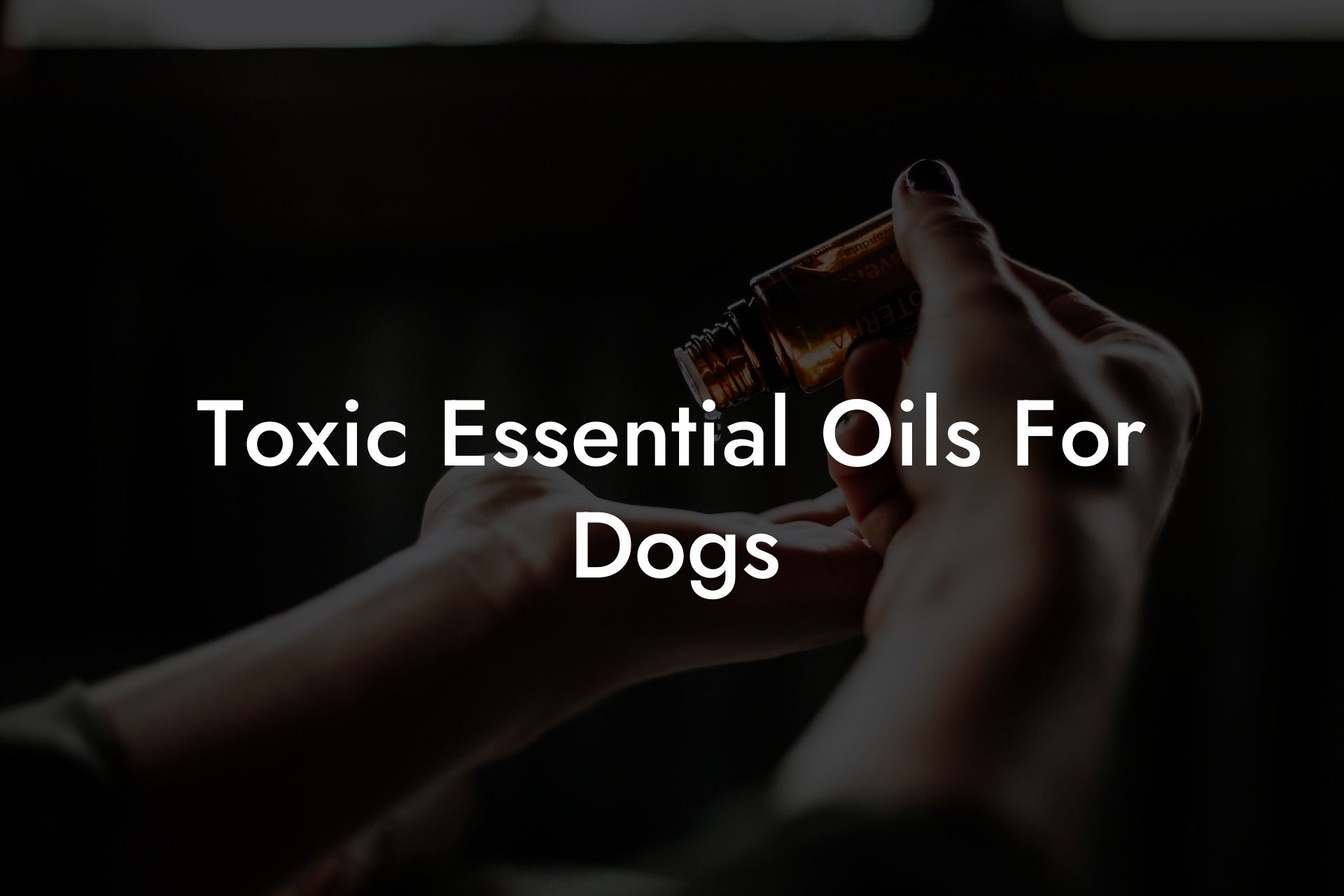 Toxic Essential Oils For Dogs