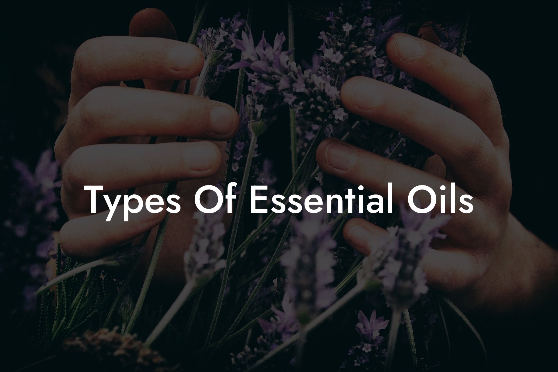 Types Of Essential Oils