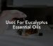 Uses For Eucalyptus Essential Oils