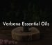 Verbena Essential Oils
