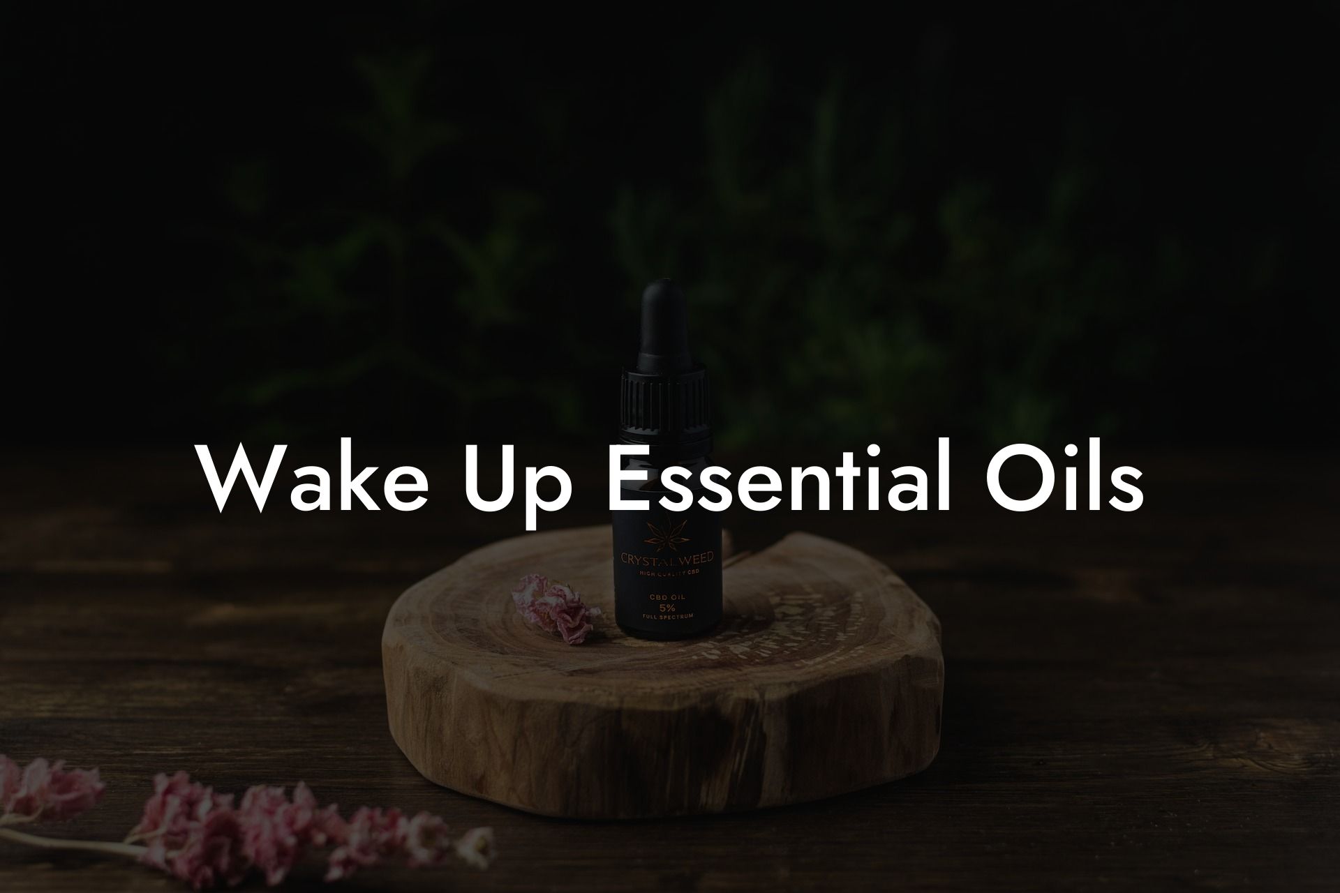 Wake Up Essential Oils