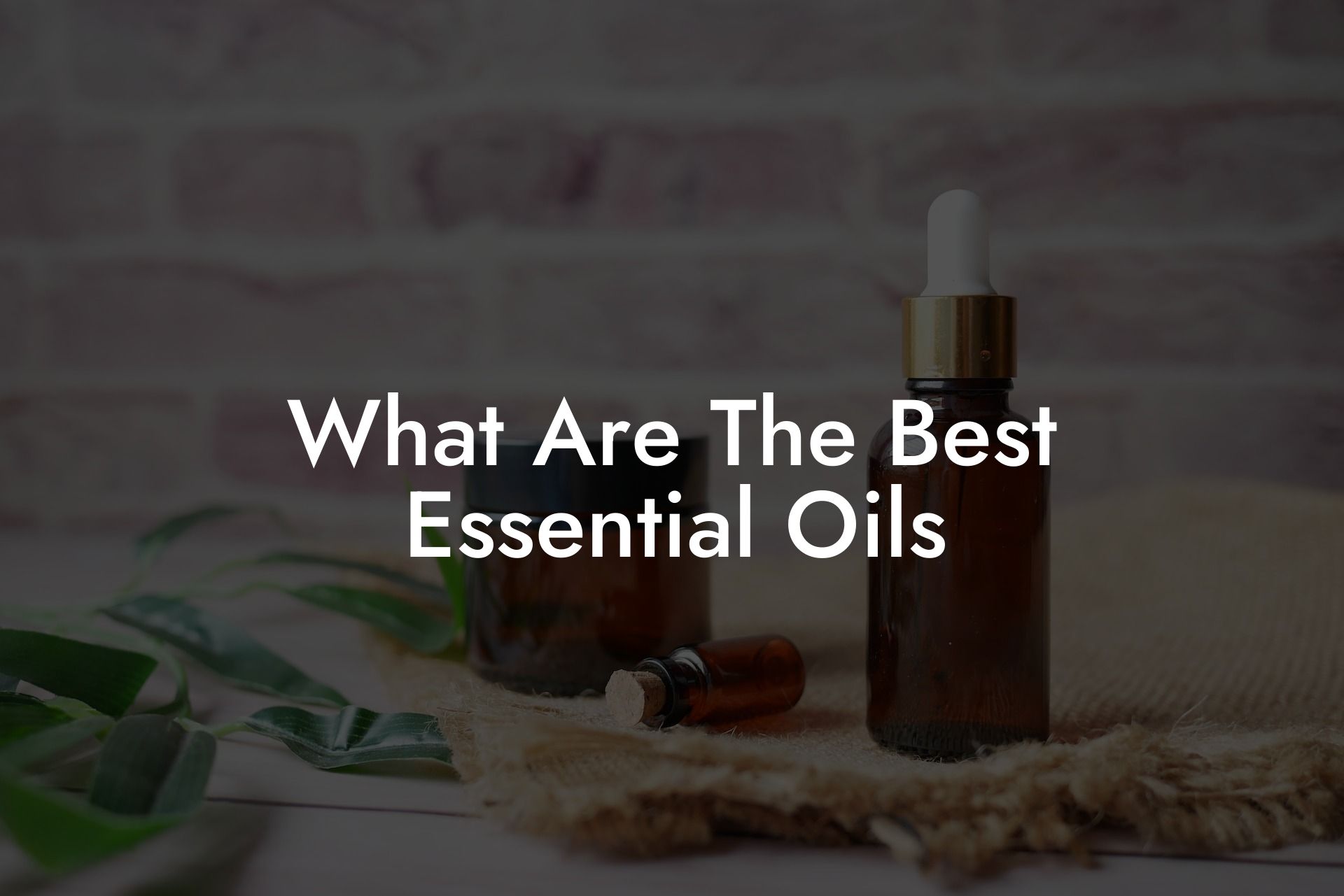 What Are The Best Essential Oils