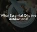 What Essential Oils Are Antibacterial