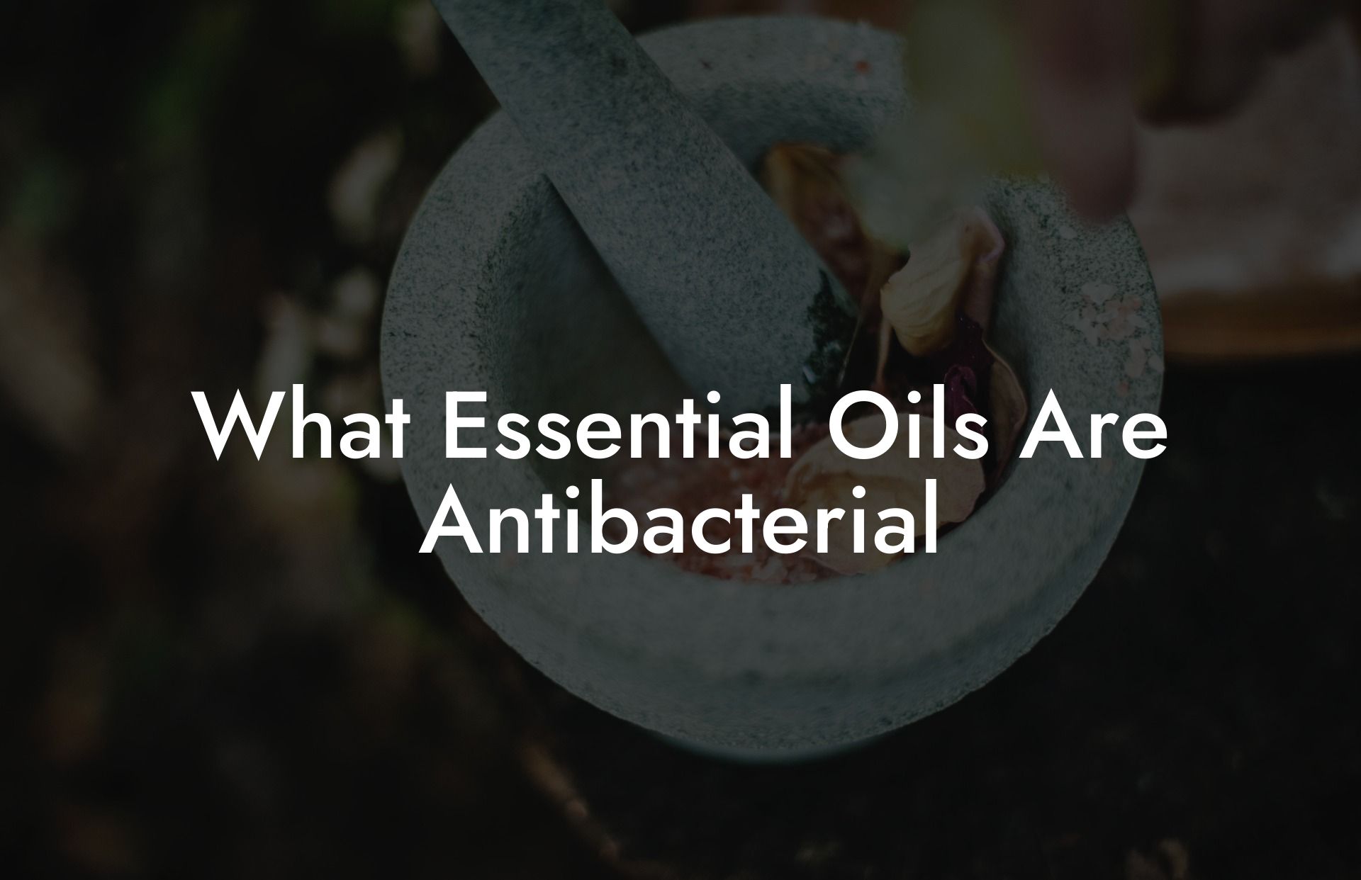 What Essential Oils Are Antibacterial
