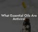 What Essential Oils Are Antiviral