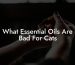 What Essential Oils Are Bad For Cats