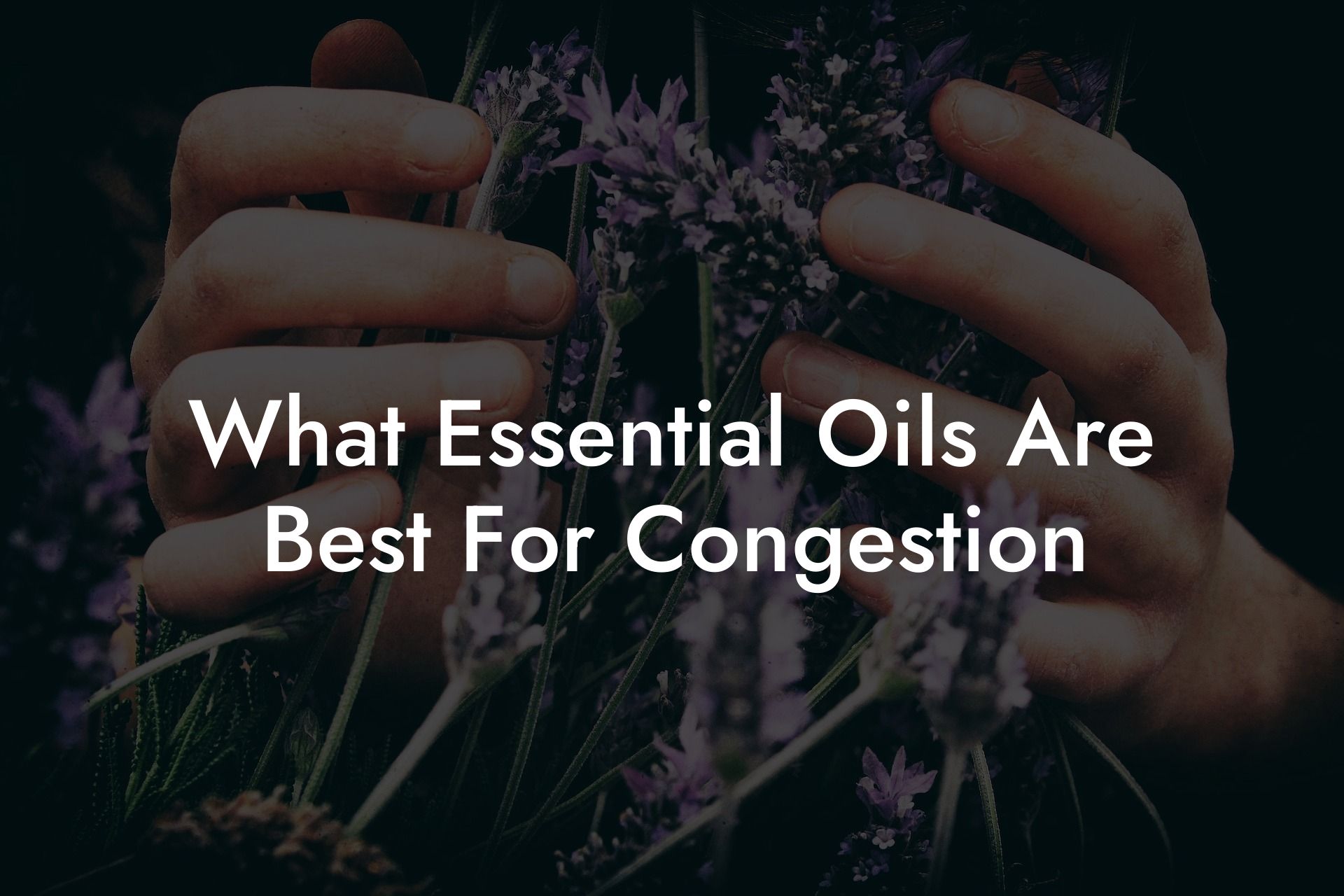 What Essential Oils Are Best For Congestion