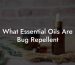 What Essential Oils Are Bug Repellent